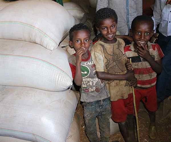 Photo for - La Fondation : salubrité des aliments en Éthiopie