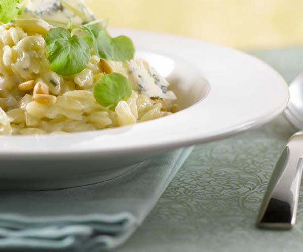 Photo of - Orzo Risotto